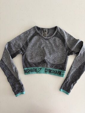Gymshark Grey Long Sleeve Cropped Workout Top with Teal Band